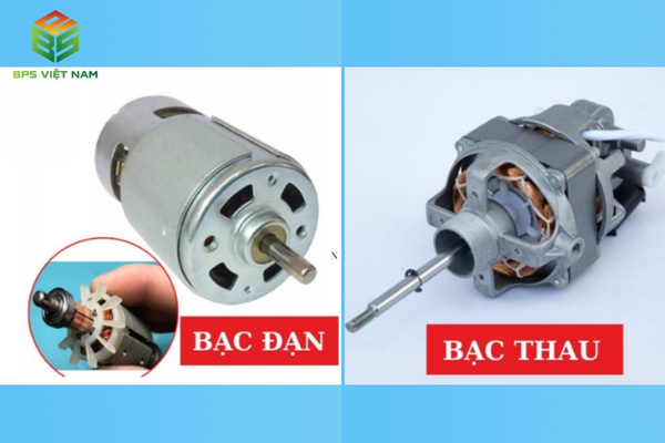 Các tiêu chí lựa chọn quạt cây phù hợp