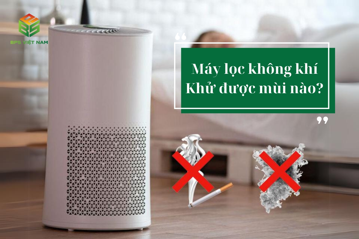 Máy lọc không khí có thể khử được những loại mùi nào?