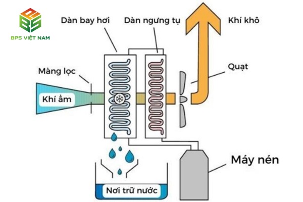 Cấu tạo và nguyên lý máy hút ẩm ngưng tụ  