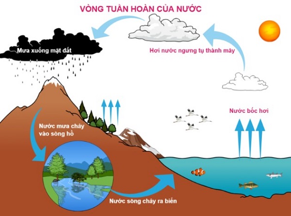 Mối liên hệ giữa độ ẩm và sự ngưng tụ