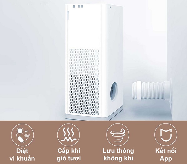 Máy lọc không khí tạo oxy là gì?