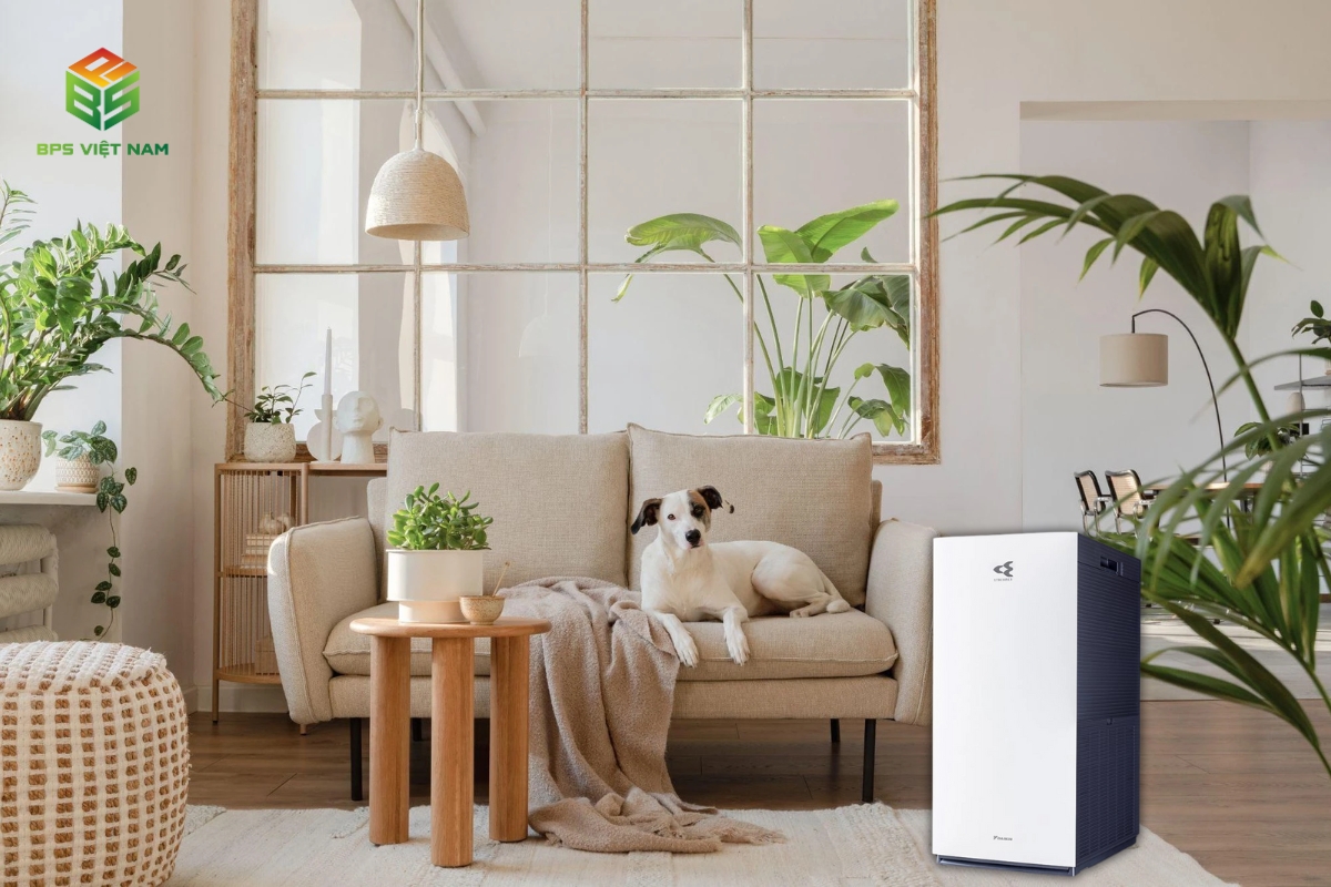 Máy lọc không khí hút lông chó mèo Daikin MC80ZVM7 