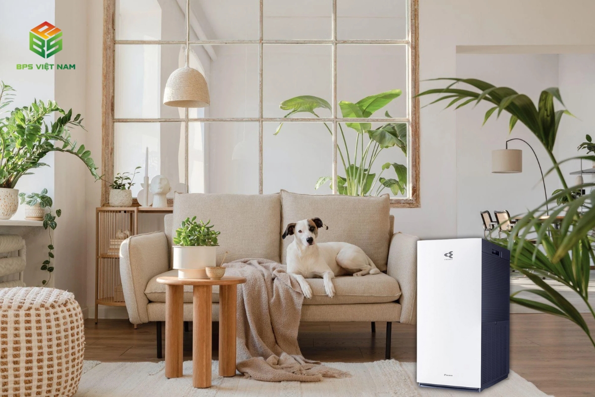 Máy lọc không khí hút lông chó mèo Daikin MC80ZVM7