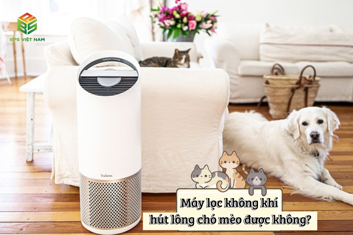 Máy lọc không khí có hút được lông chó mèo không?