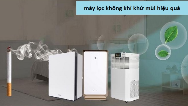 Bí kíp chọn máy lọc không khí khử mùi hiệu quả