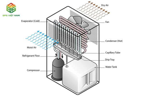 Sơ đồ nguyên lý hoạt động của máy hút ẩm công nghiệp