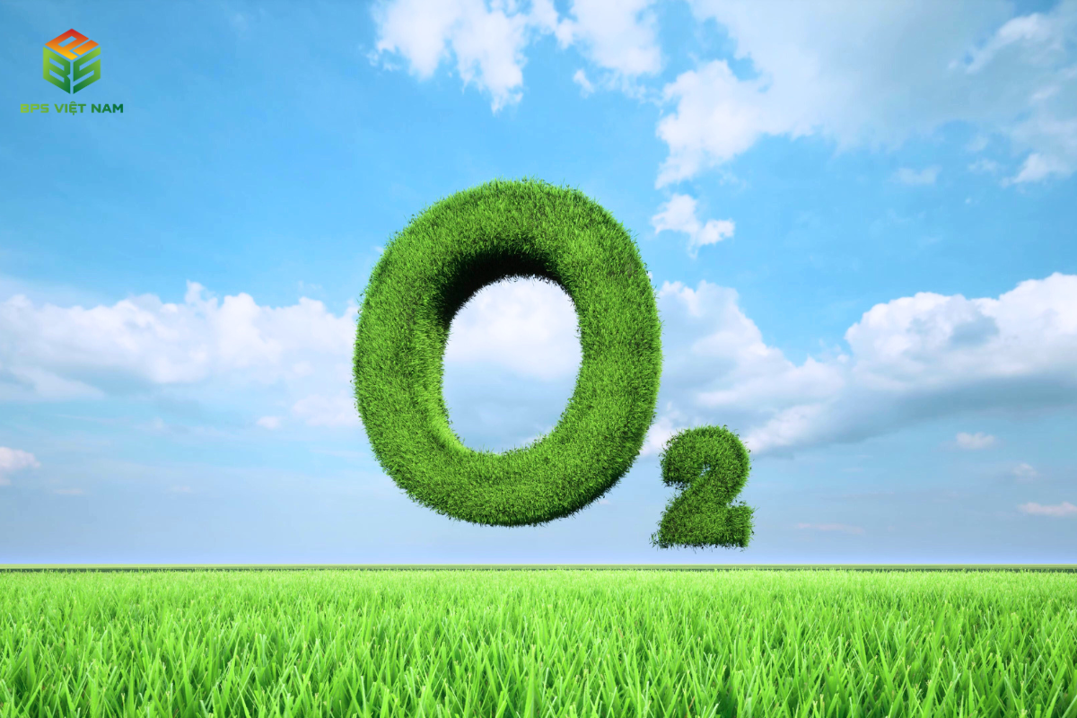 Máy lọc không khí tạo oxy là gì? Nên mua loại nào?