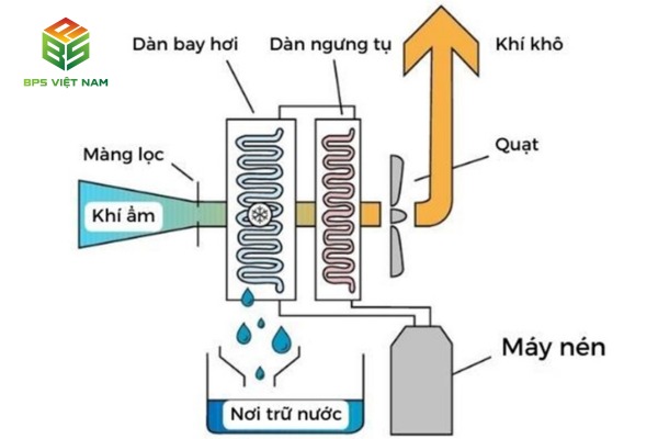 Chi tiết cấu tạo và nguyên lý máy hút ẩm