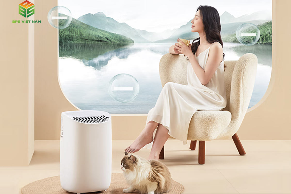 Máy hút ẩm lọc không khí tốt không? TOP 3 máy hút ẩm có chức năng lọc không khí giá rẻ