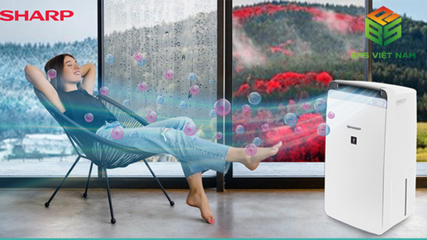 Máy Hút Ẩm Sharp Có Tốt Không? Đánh Giá Chi Tiết 2025