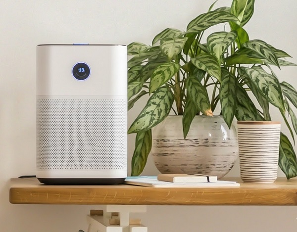 Có nên mua máy lọc không khí? So sánh với trồng cây lọc khí